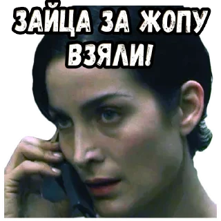 Sticker Шматрица (2) :: @elsticko - 0