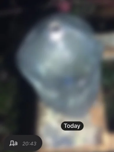 спайс для @ytmv420 - СМС