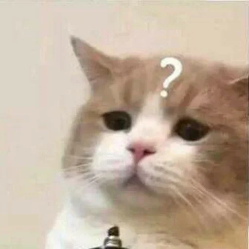 Стикер @shnstckrs shnstckrs1 - 6