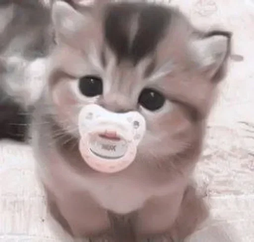 Стикер @shnstckrs shnstckrs1 - 2