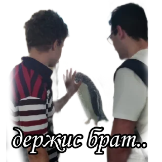 Sticker shoblya sticker pack - 0