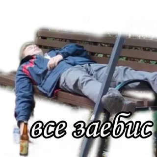 Sticker shoblya sticker pack - 11