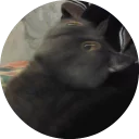 shoegaze catz - animal