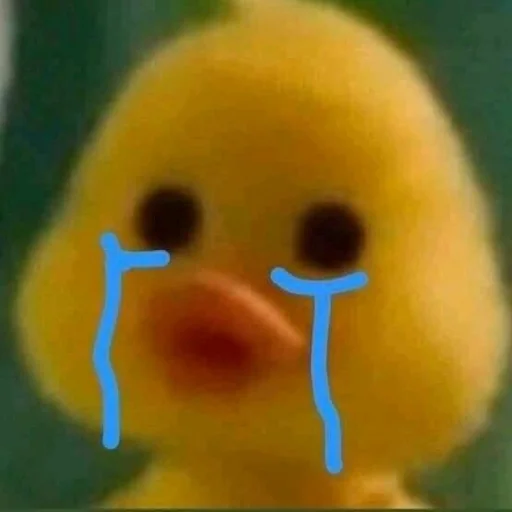 organism yellow cartoon