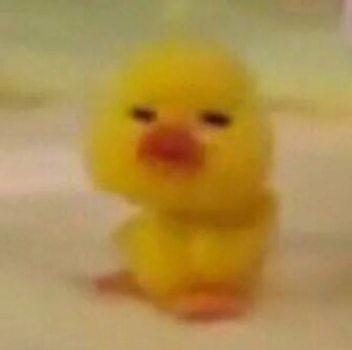 toy rubber ducky duck