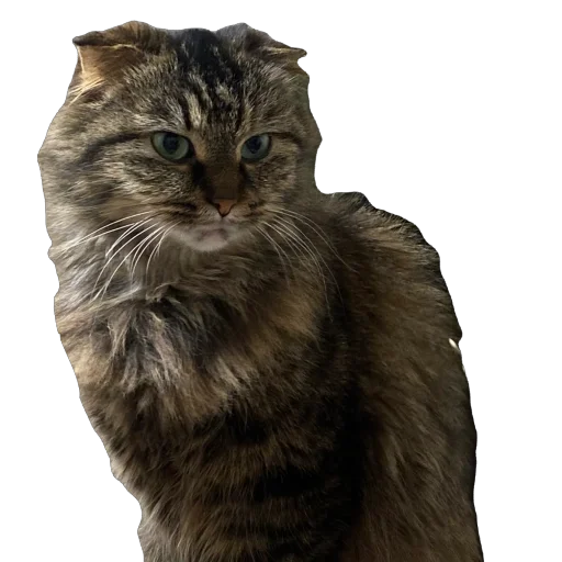 Sticker shrehks96 - 1