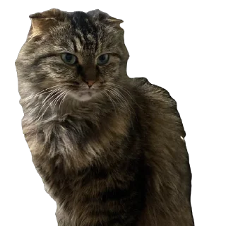 Sticker шрэкс - 1