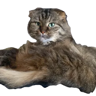 Sticker шрэкс - 2