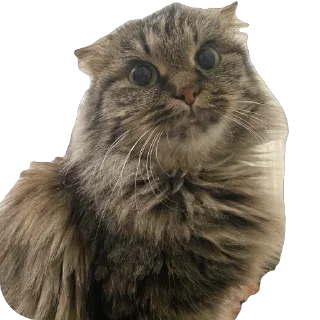 Sticker шрэкс - 3