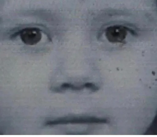 человеческое лицо бровь щека