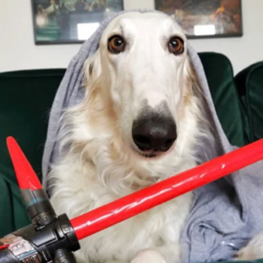 Sticker shu_borzoi - 1