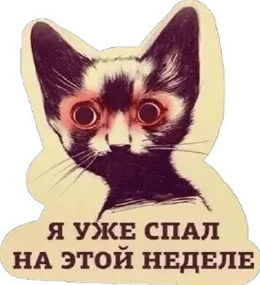 Стикер ШУЕ ППШ 1963 R.I.P - 0