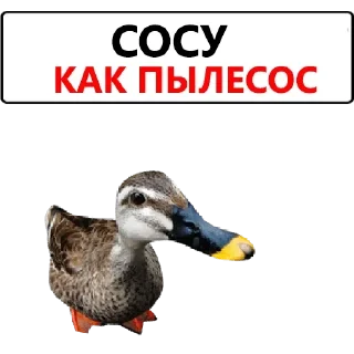 Стикер ШУЕ ППШ 1963 R.I.P - 6