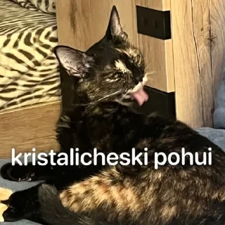 Sticker shunya za glavnuy - 10