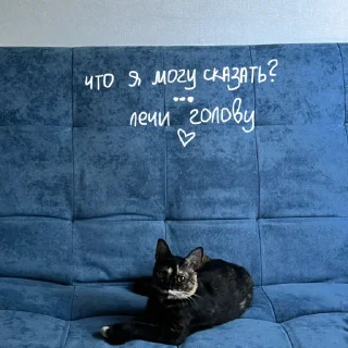 Sticker shunya za glavnuy - 9