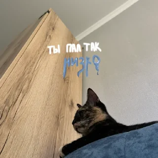 Sticker shunya za glavnuy - 11