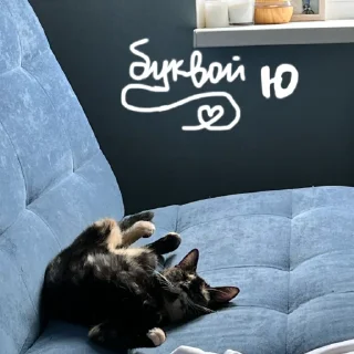 Sticker shunya za glavnuy - 6