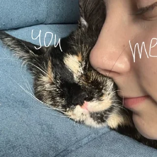 Sticker shunya za glavnuy - 5