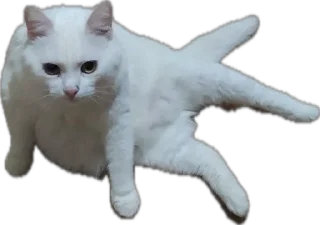 Sticker Шуркины коты - 10