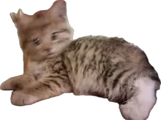 Sticker Шуркины коты - 6