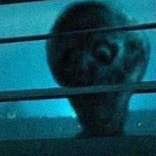 Стикер shut8up - 1