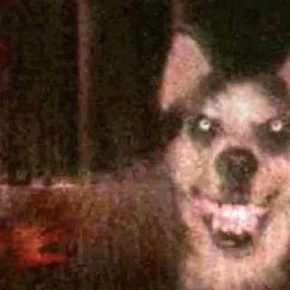 Стикер спокойной ночи,рина🤍 - 7