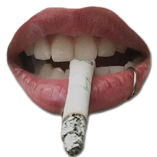 Sticker shutki shutish - 10