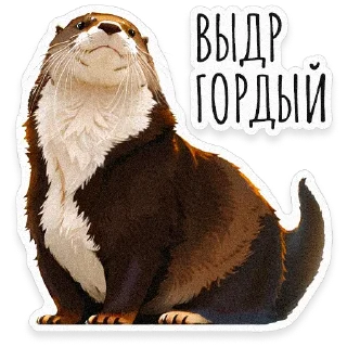 Sticker ВЫДРОЧАТик @asmr_boy - 4