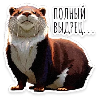 Sticker ВЫДРОЧАТик @asmr_boy - 6