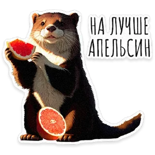 Sticker ВЫДРОЧАТик @asmr_boy - 1
