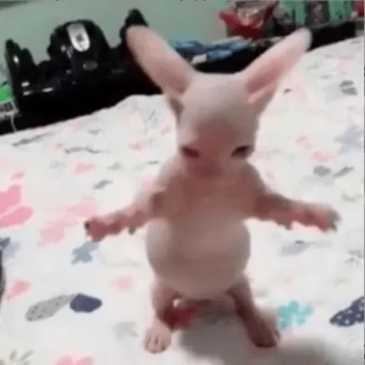 Sticker кечунез лучшее что есть на свете - 9