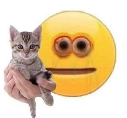 кошки малого и среднего размера млекопитающее кошачьи