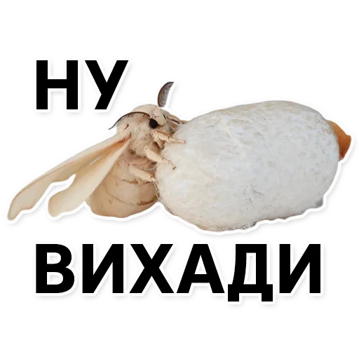 Sticker silkwormalarm - 1