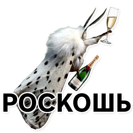 Sticker silkwormalarm - 1