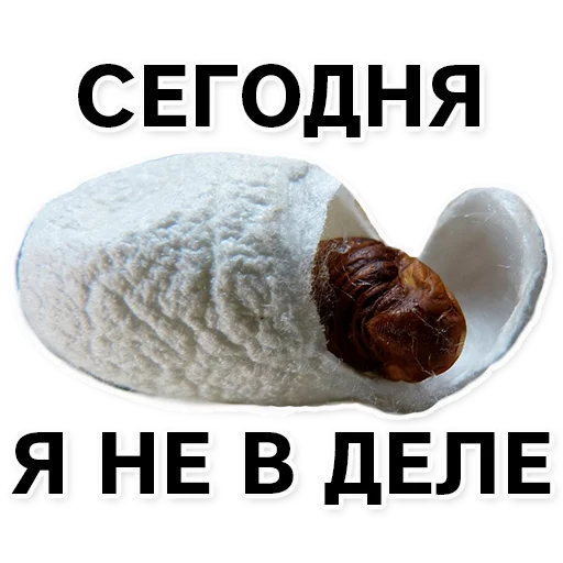 Sticker silkwormalarm - 1