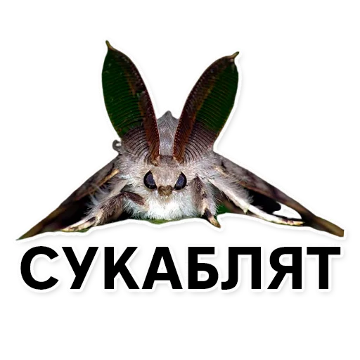 Sticker silkwormalarm - 1