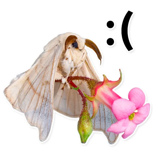 Sticker silkwormalarm - 1