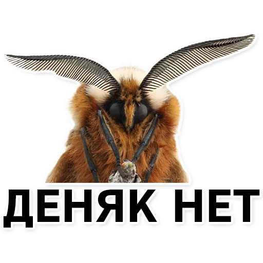 Sticker silkwormalarm - 1