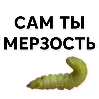 Sticker Тутовый шелкопряд - 0