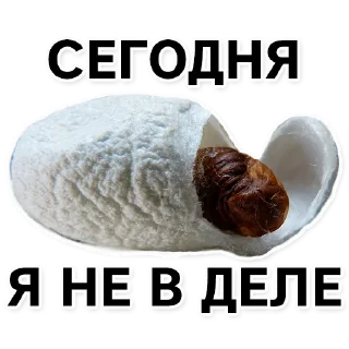 Sticker Тутовый шелкопряд - 5