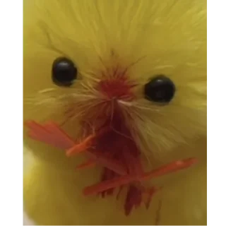 Sticker Курчата Дрочата - 0