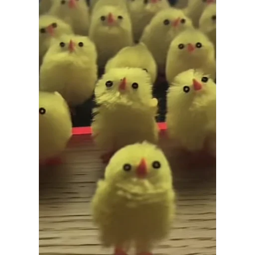 Sticker silly_chicks - 1