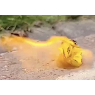 Sticker Курчата Дрочата - 9