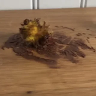 Sticker Курчата Дрочата - 10