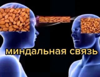 Стикер тупые мемы - 0