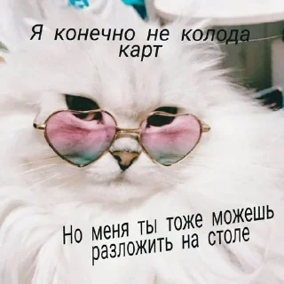 Стикер тупые мемы - 2