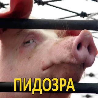 Стикер хохлы - 1