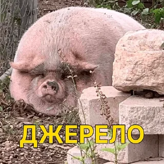 Стикер хохлы - 4