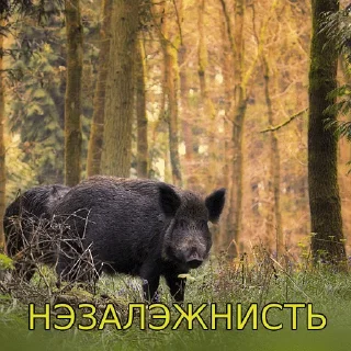 Стикер хохлы - 11