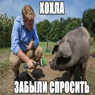 Стикер хохлы - 7